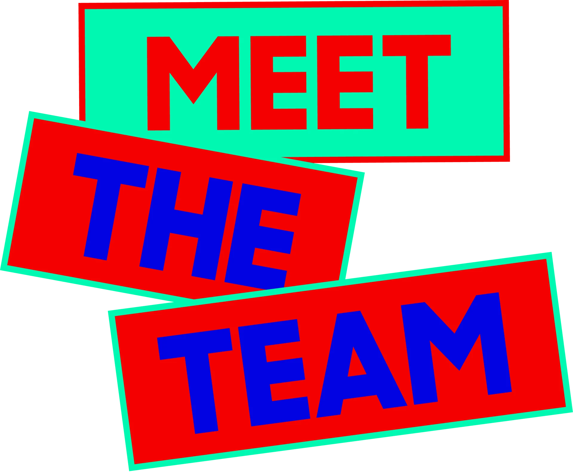 Meet the Team